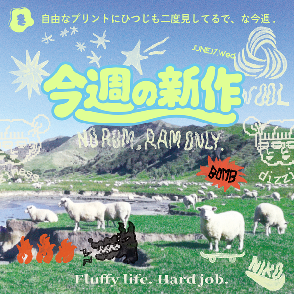 今週の新作速報！