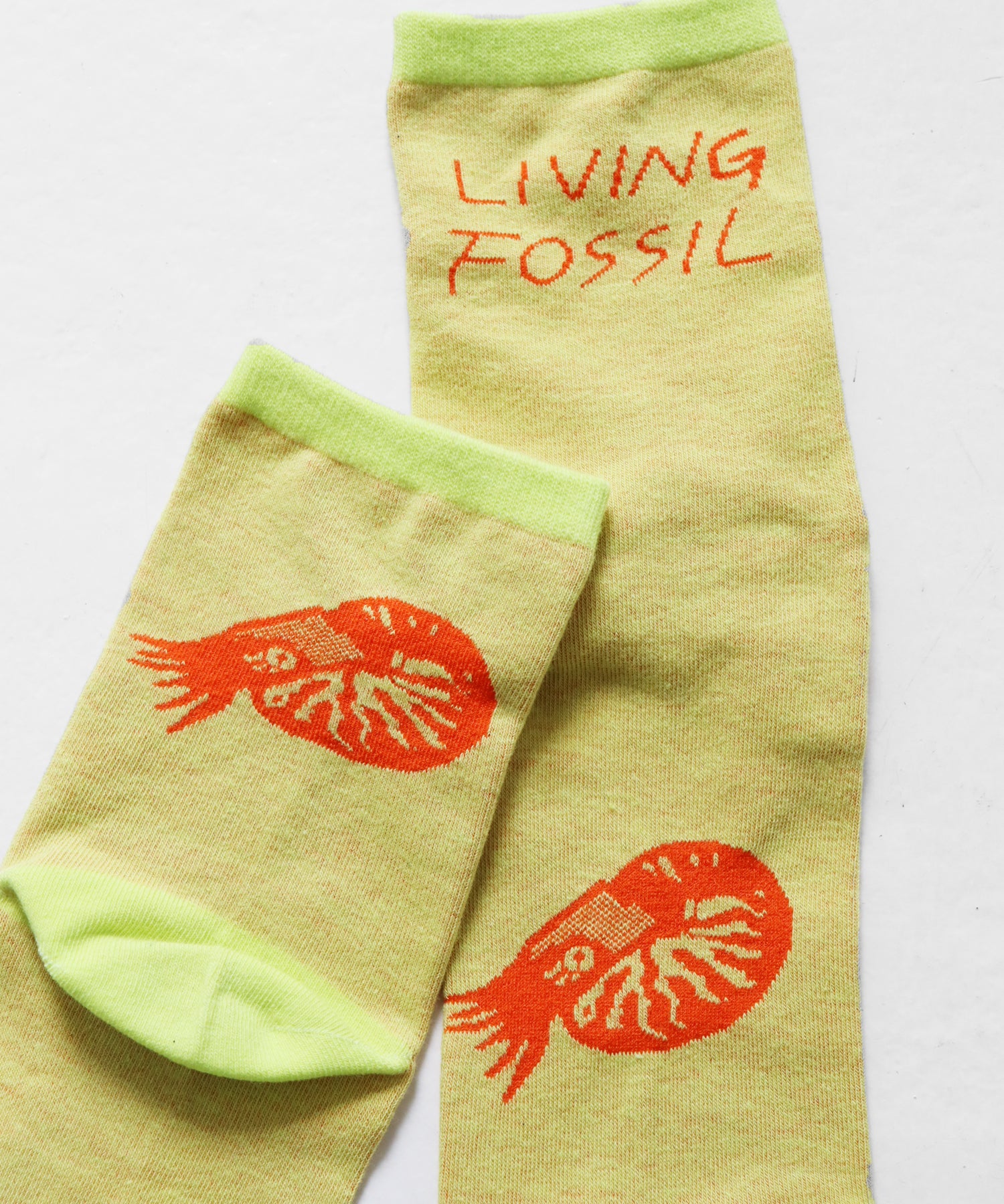 生きた化石ショートソックス｜2P