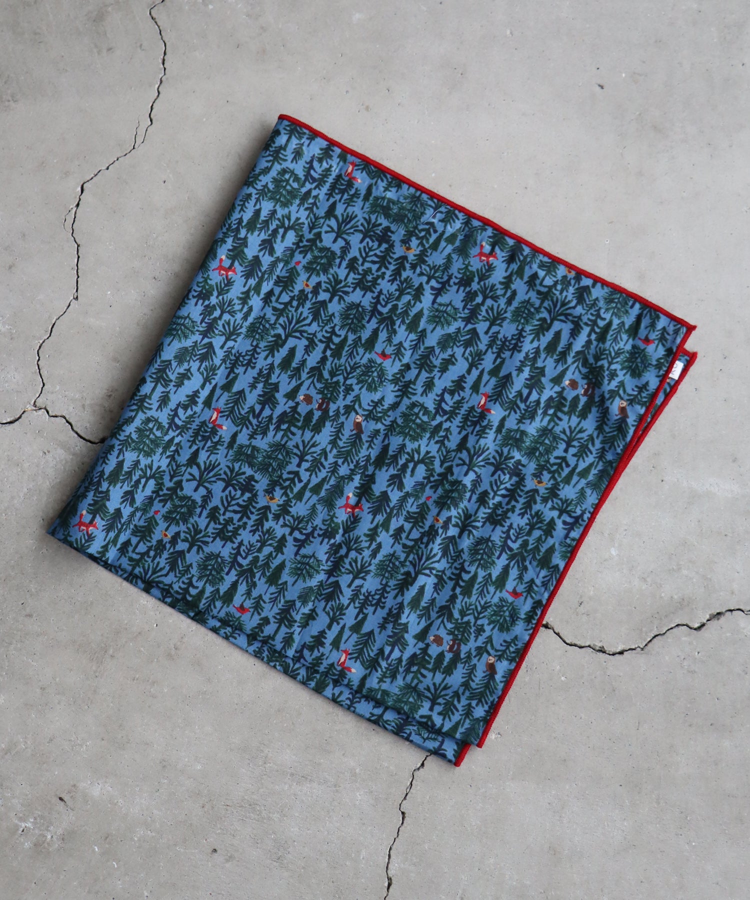 ラッピングキャンペーン特別価格】いろいろプリント 大判プリント